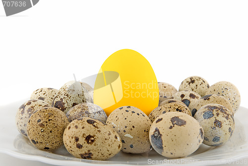 Image of Big Gold egg