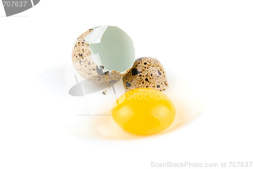 Image of broken egg quail