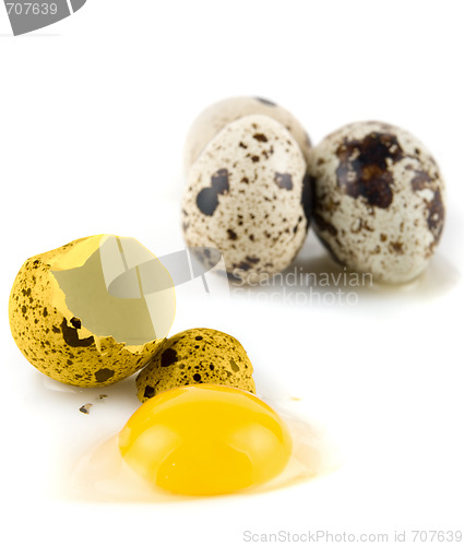 Image of broken egg quail