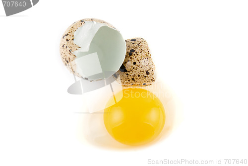 Image of egg 