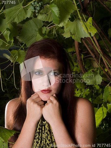 Image of Green Goddess