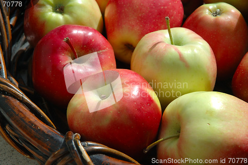 Image of Apples