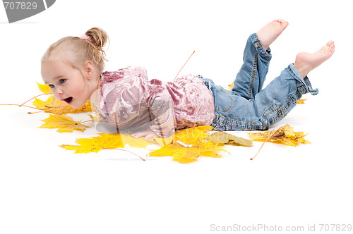 Image of Toddler with maple leaves