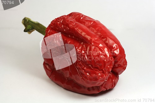 Image of Red Pepper