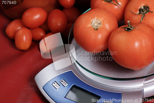 Image of Fresh Tomatoes