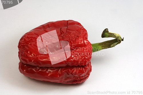 Image of Shrunken Pepper