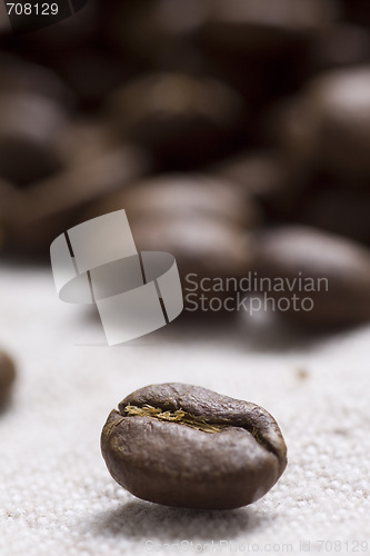 Image of Roasted coffee beans