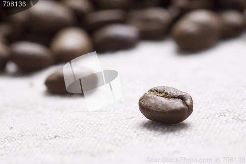 Image of Roasted coffee beans