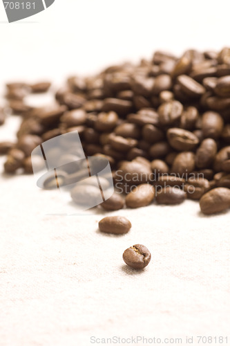 Image of Roasted coffee beans