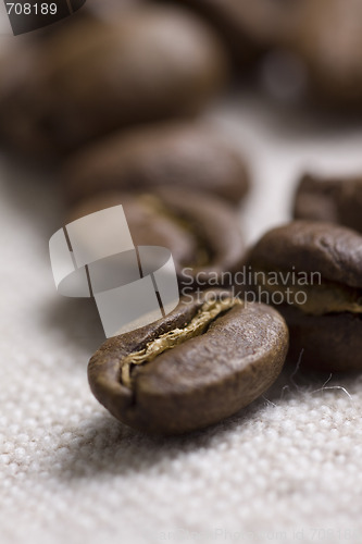 Image of Roasted coffee beans 