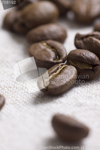 Image of Roasted coffee beans