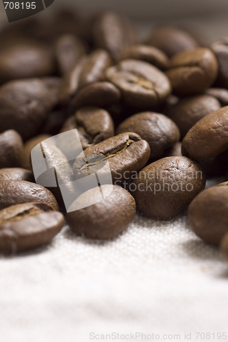 Image of Roasted coffee beans