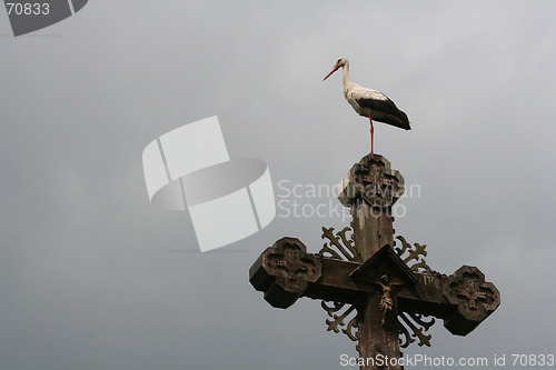 Image of Stork on a Cross