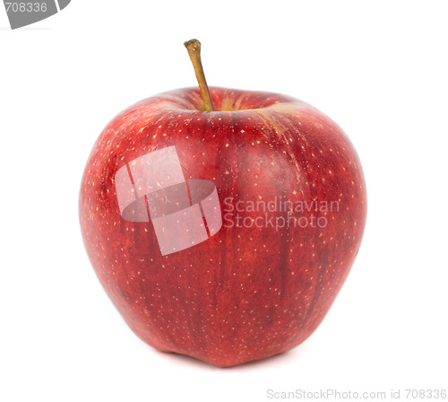Image of Red ripe apple