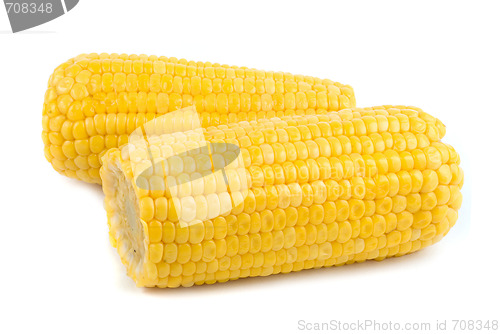 Image of Ripe corn