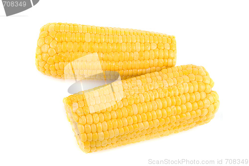 Image of Corn 