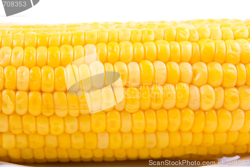 Image of Corn background