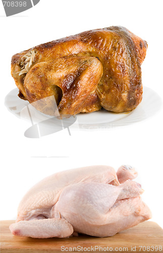 Image of chicken