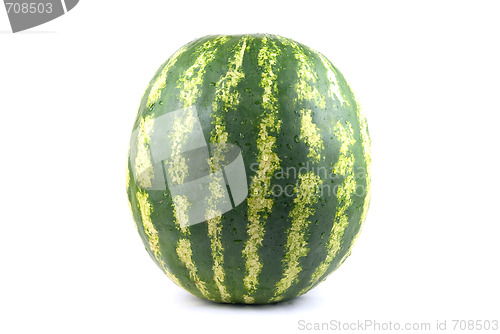 Image of watermelon 