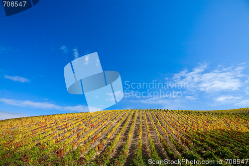 Image of Douro Vineyards