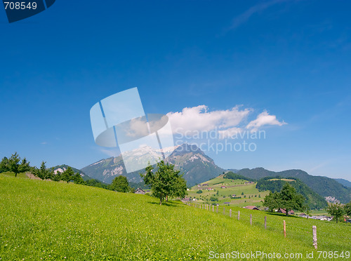 Image of Green Field