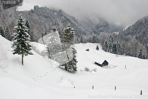 Image of Winter Landscape