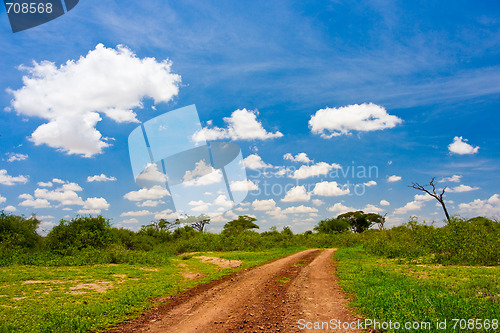 Image of Dirt Road