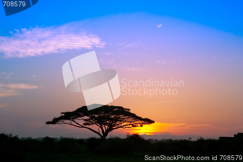 Image of African Sunrise