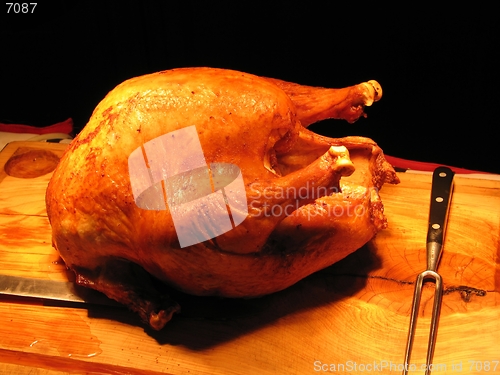 Image of Golden roasted chicken under light