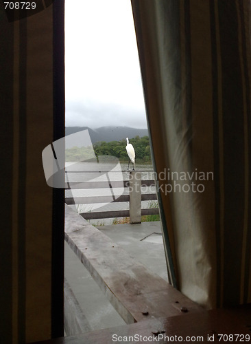 Image of A curtain,a deck,a heron and a lake