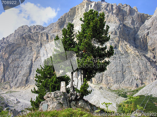 Image of Dolomites Mountains, Italy, Summer 2009