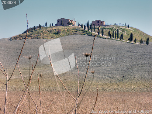 Image of Countryside near Siena, Tuscany, Italy