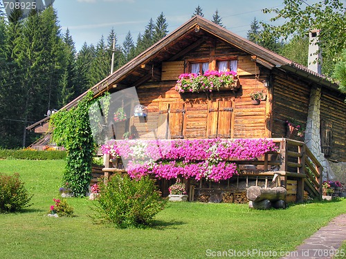 Image of Dolomites Mountains, Italy, Summer 2009