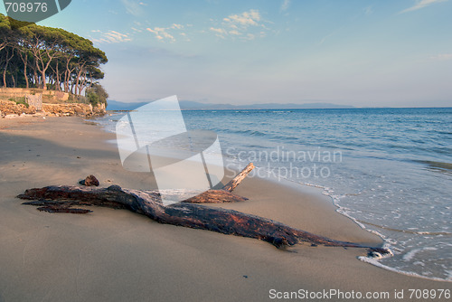 Image of Tuscan Coast, Torre Mozza, Fall 2008