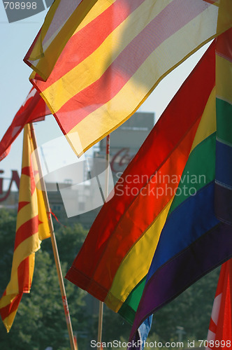 Image of GAY PRIDE