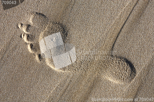 Image of Footprint