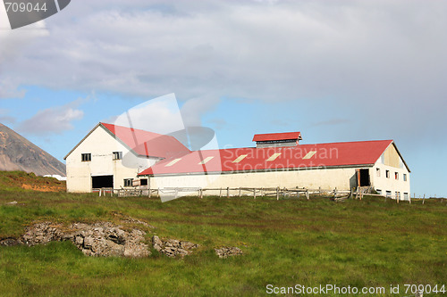 Image of Farm in Iceland