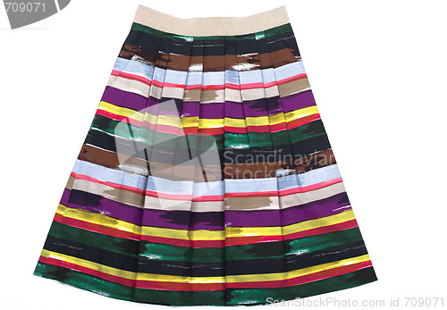 Image of Variegated Women's skirt