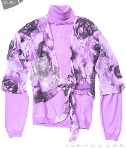 Image of Purple Women's pullover