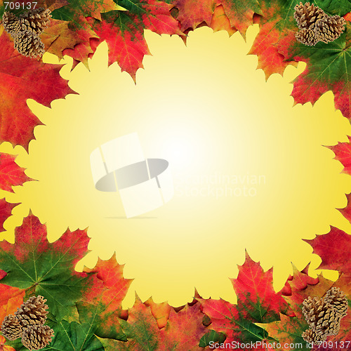 Image of Autumn Leaf Beauty