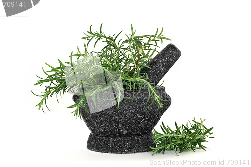 Image of Rosemary Herb