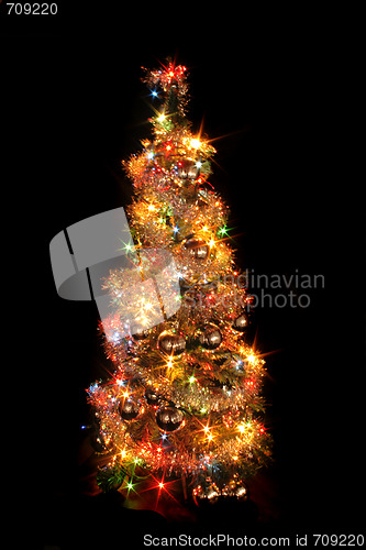 Image of xmas tree