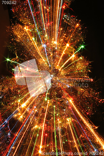 Image of xmas tree
