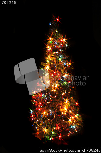 Image of xmas tree