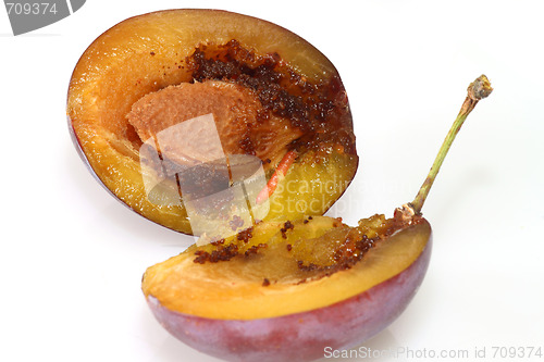 Image of Plum with worm
