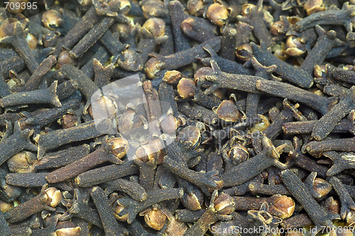 Image of Clove