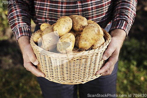 Image of Potatoes