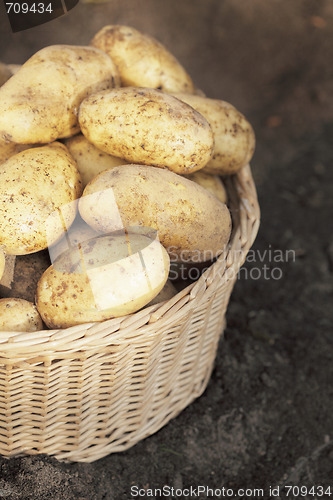 Image of Potatoes