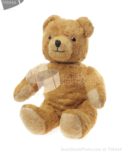 Image of Teddy