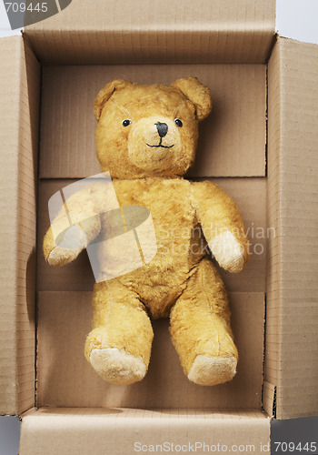 Image of Teddybear transport